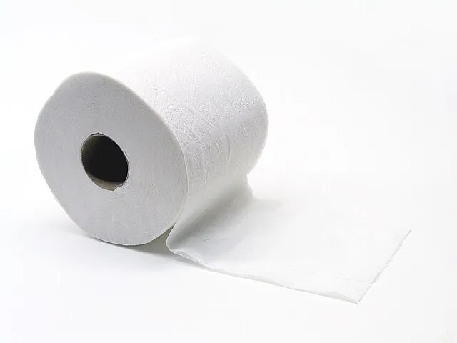 📜 Розгортаючи історію туалетного паперу: від листя до м'якої целюлози 🍃🧻